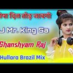 Manisha Dil Tod Javegi || 3D Hullara Brazil Mix || DJ Mr. King Sa Sambhar